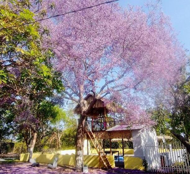 Pensionat Pousada Chacara Cururu