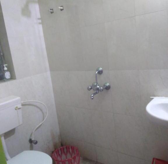 Pension Sreeja Sana Inn