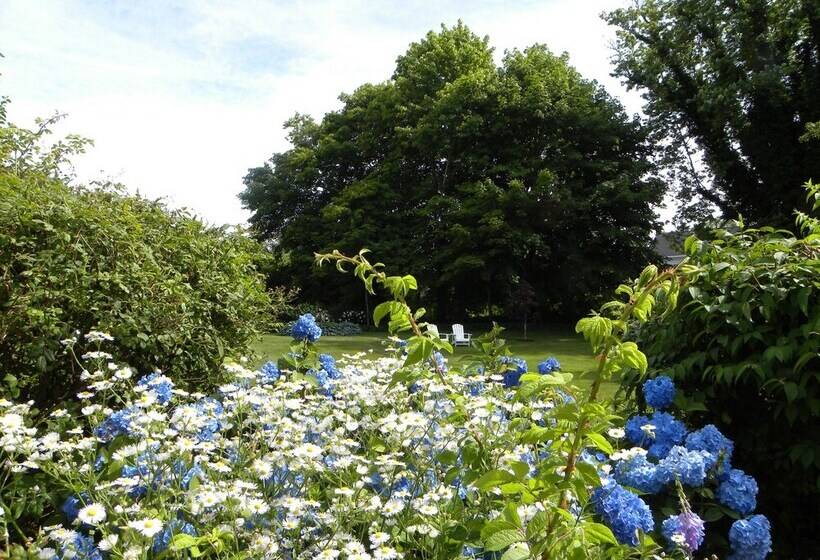 酒店 Candleberry Inn On Cape Cod