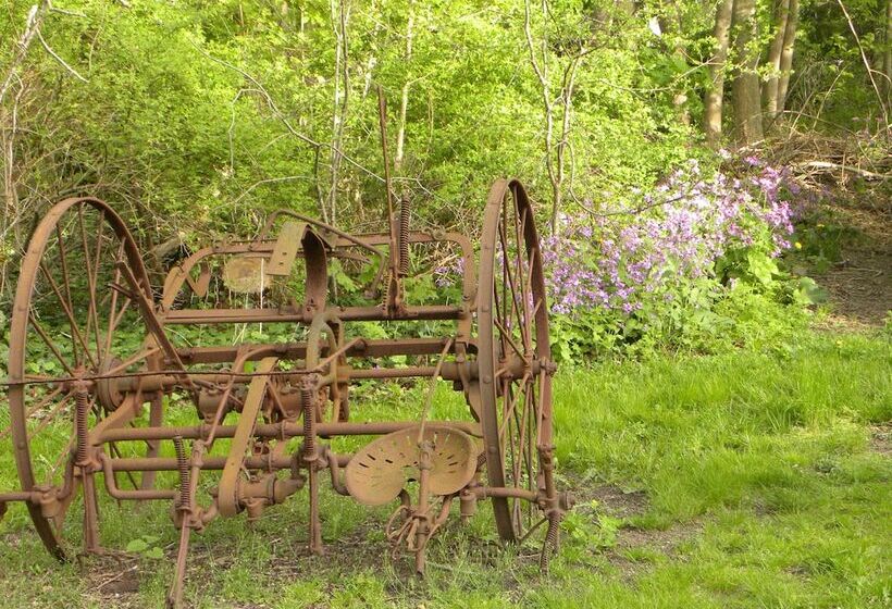 酒店 Candleberry Inn On Cape Cod