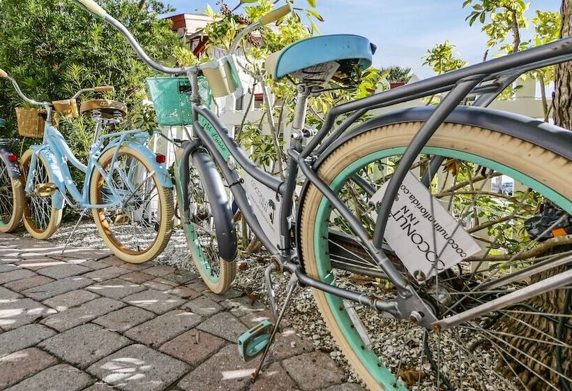 فندق Coconut Inn Passagrille Beach