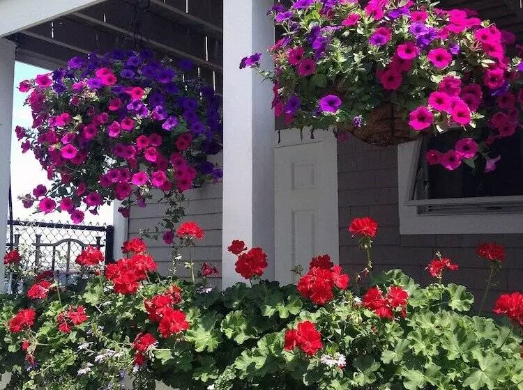 Hotelli Dyer's Beach House