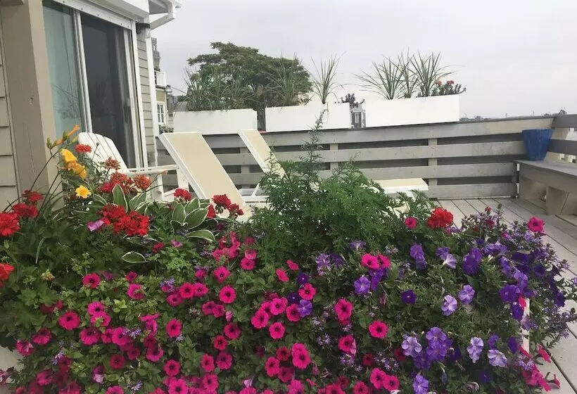 Hotelli Dyer's Beach House