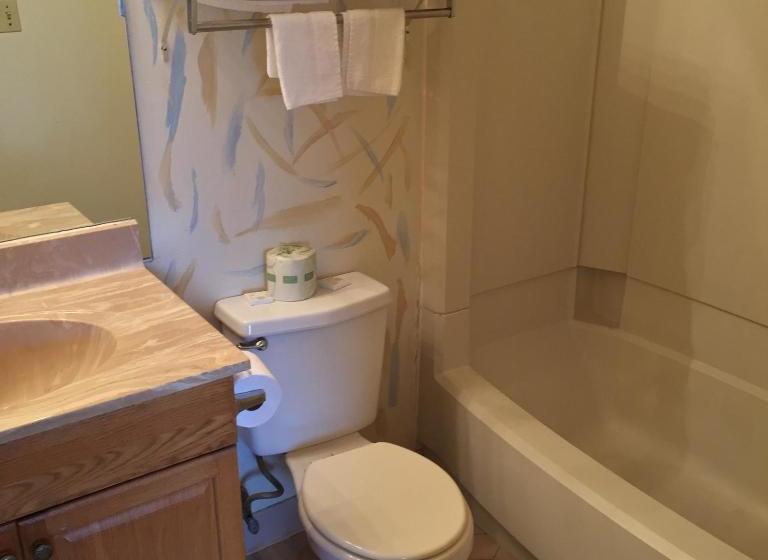 Отель Macthrift Motor Inn