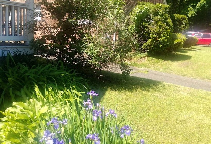 هتل Naomi's Inn Bed & Breakfast