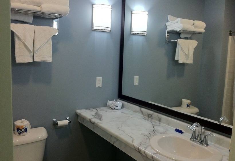 호텔 Starlight Inn