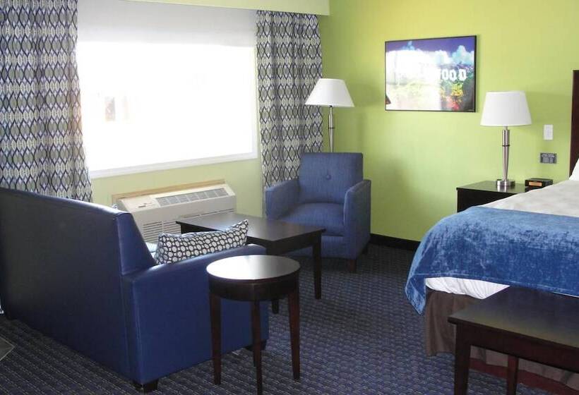 호텔 Starlight Inn