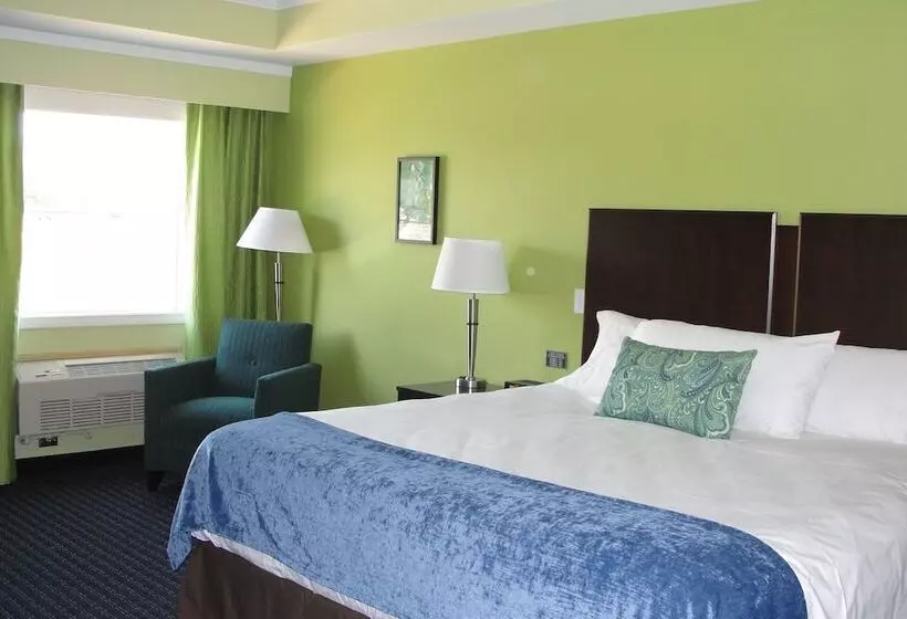 Hotelli Starlight Inn