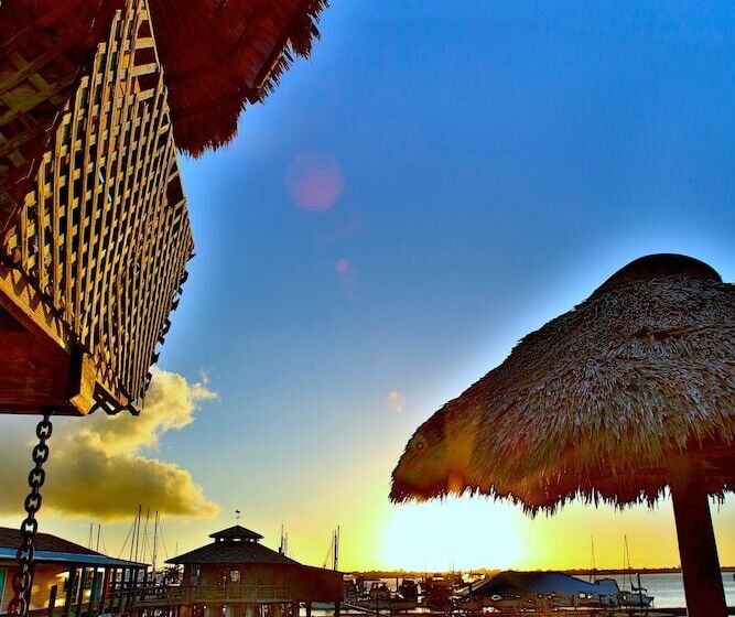 酒店 The Conch House Marina Resort