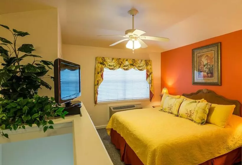 هتل The Cozy Inn
