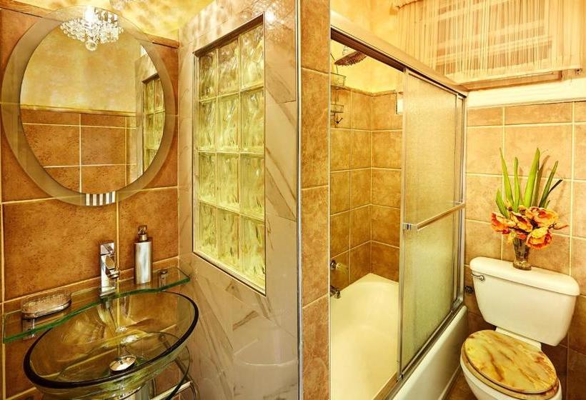 هتل The International Cozy Inn