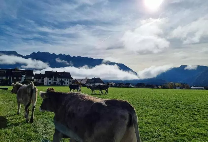 ホテル Urlaub Am Bauernhof Bei Familie Steinbrecher
