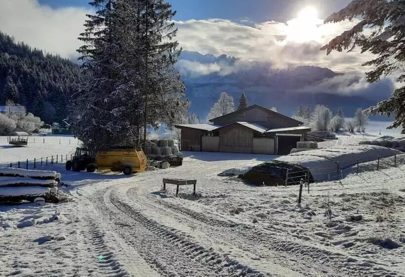 ホテル Urlaub Am Bauernhof Bei Familie Steinbrecher