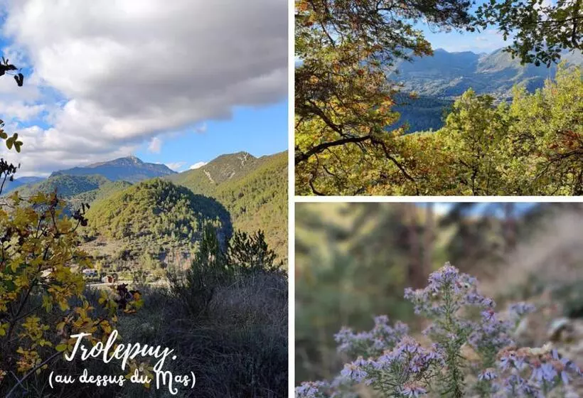 Aamiaismajoitus (B&B) Le Mas D Antonine, Marie Louise