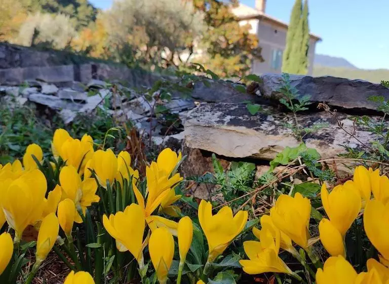 Aamiaismajoitus (B&B) Le Mas D Antonine, Marie Louise