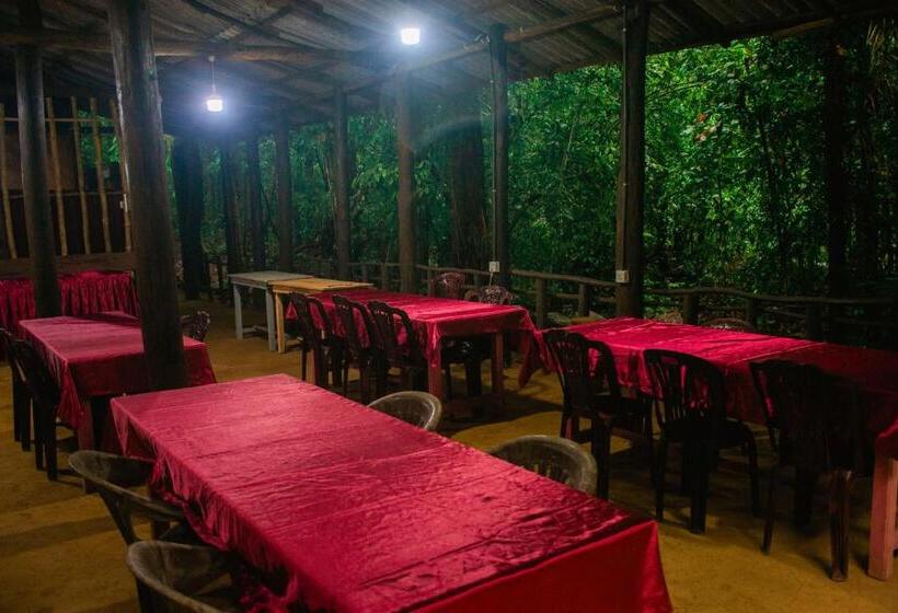 Bed and Breakfast Rock Pool Eco Lodge