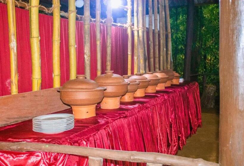 Bed and Breakfast Rock Pool Eco Lodge