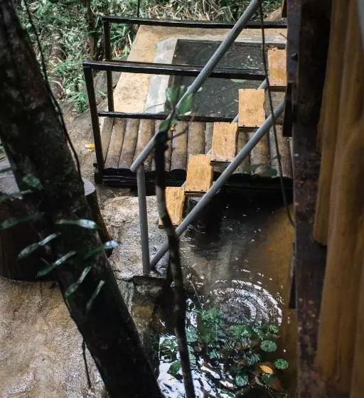 ベッドアンドブレックファースト Rock Pool Eco Lodge