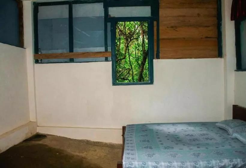 ベッドアンドブレックファースト Rock Pool Eco Lodge