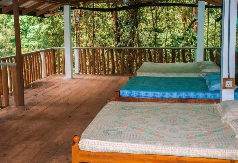 ベッドアンドブレックファースト Rock Pool Eco Lodge