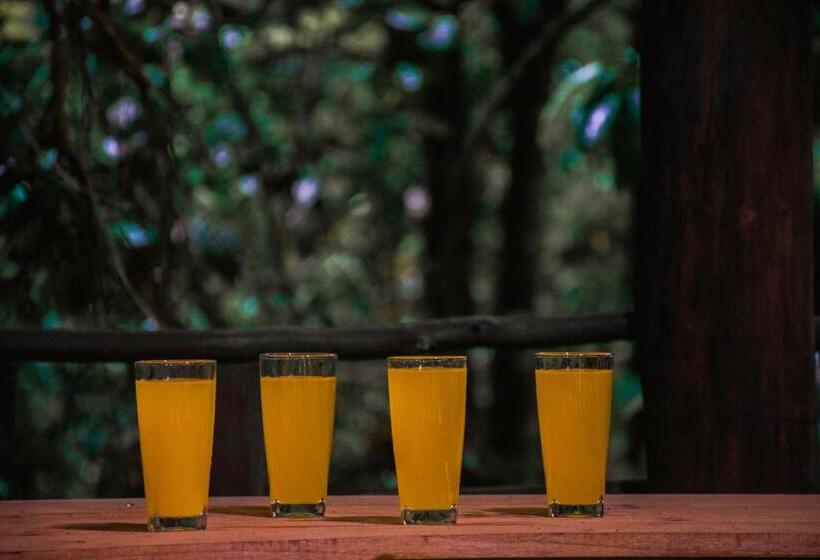 Bed and Breakfast Rock Pool Eco Lodge