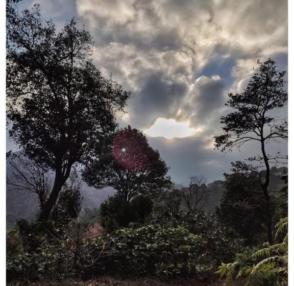 Coorg Hotel And Cottage