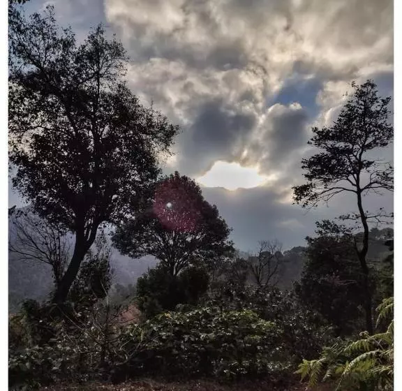 Coorg Hotel And Cottage