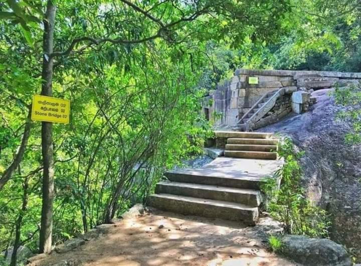 פנסיון Nirwana Resort