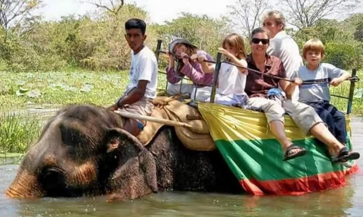 פנסיון Nirwana Resort