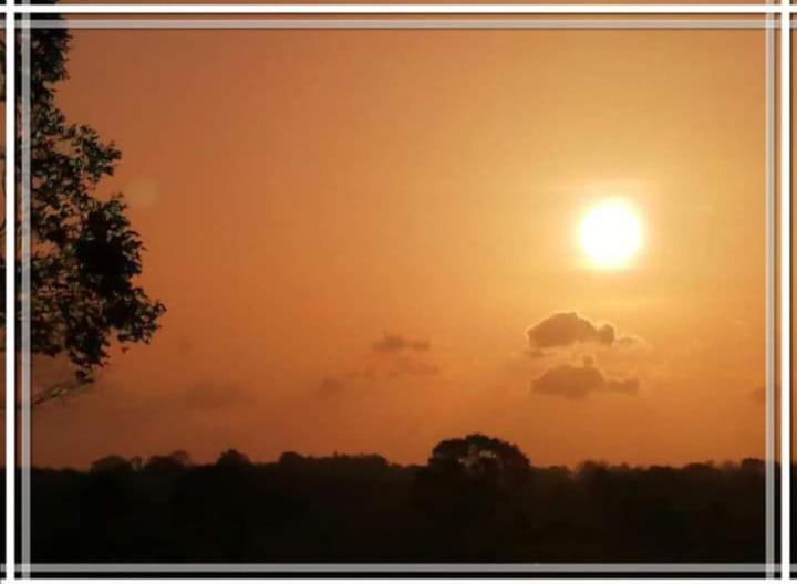 פנסיון Nirwana Resort