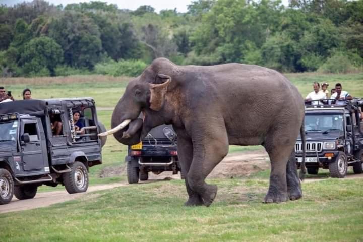 פנסיון Nirwana Resort