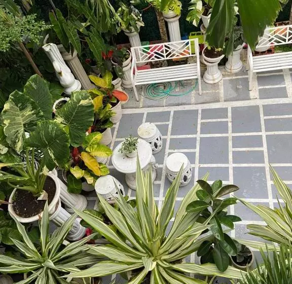 ペンション The Veehive Guesthouse