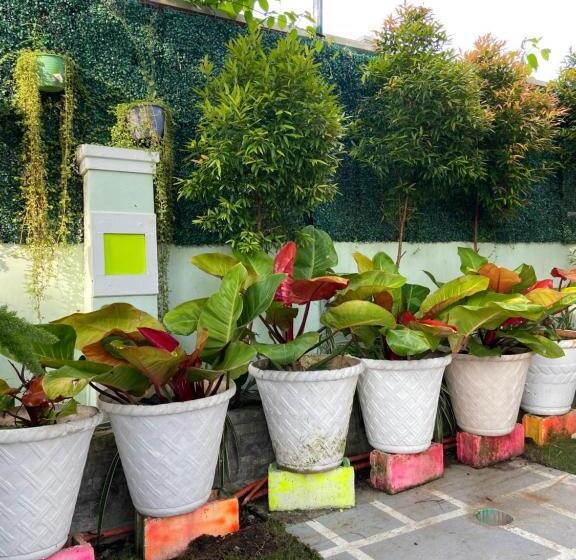 Panzió The Veehive Guesthouse