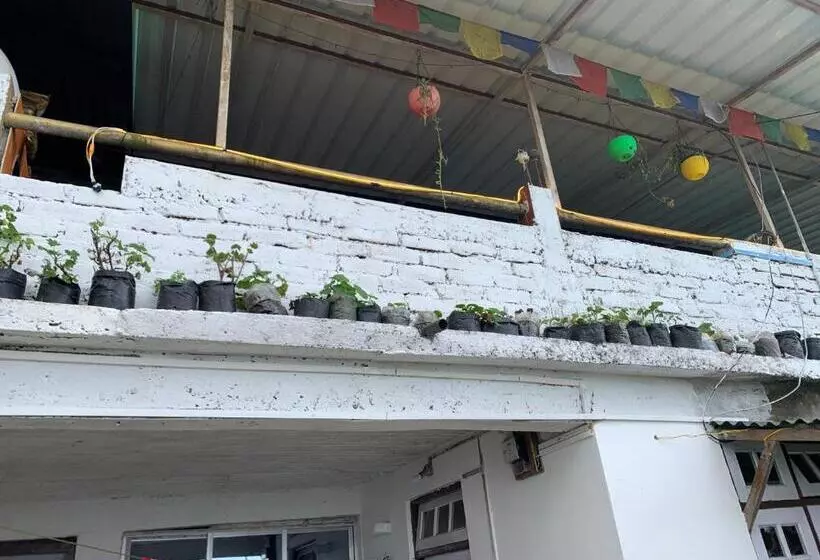 Solo Stays   Backpacker Hostel