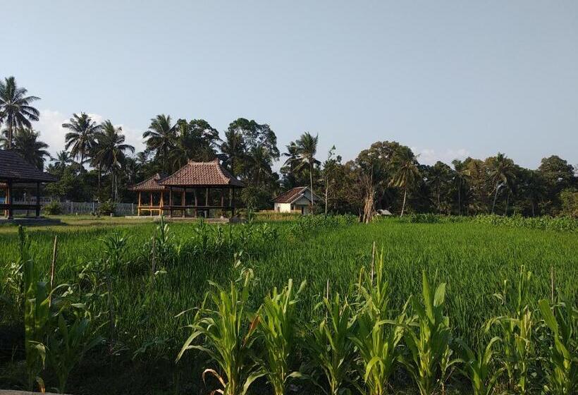 Bed and Breakfast D Liwatan Bungalow