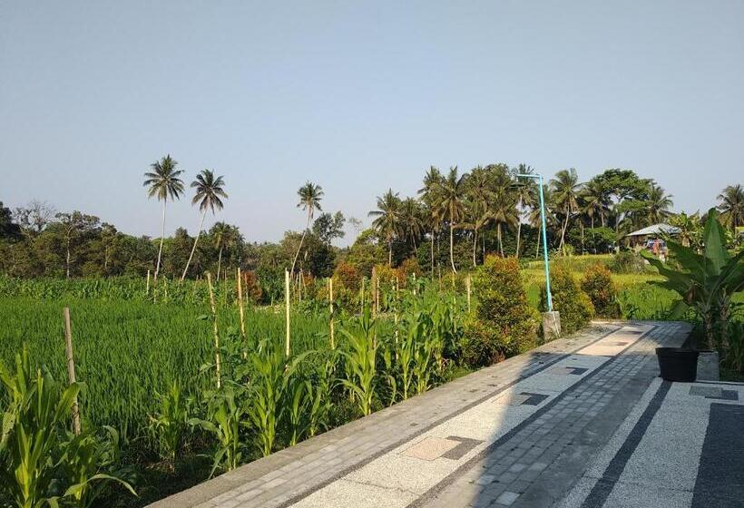 Bed and Breakfast D Liwatan Bungalow