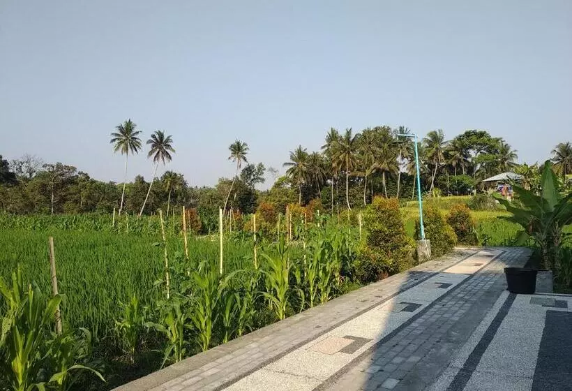 ベッドアンドブレックファースト D Liwatan Bungalow