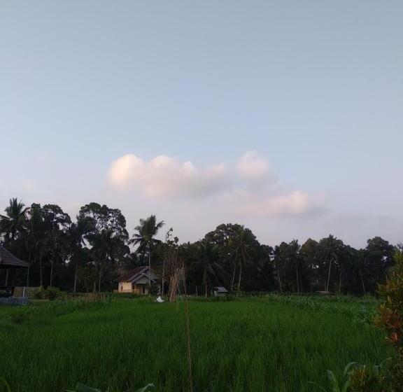 Bed and Breakfast D Liwatan Bungalow