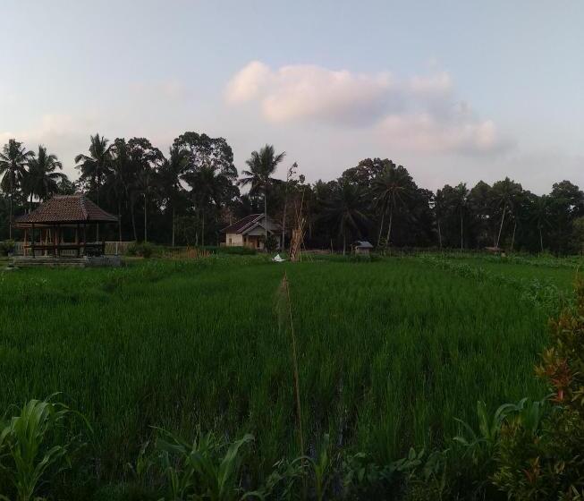 Bed and Breakfast D Liwatan Bungalow