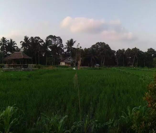 ベッドアンドブレックファースト D Liwatan Bungalow