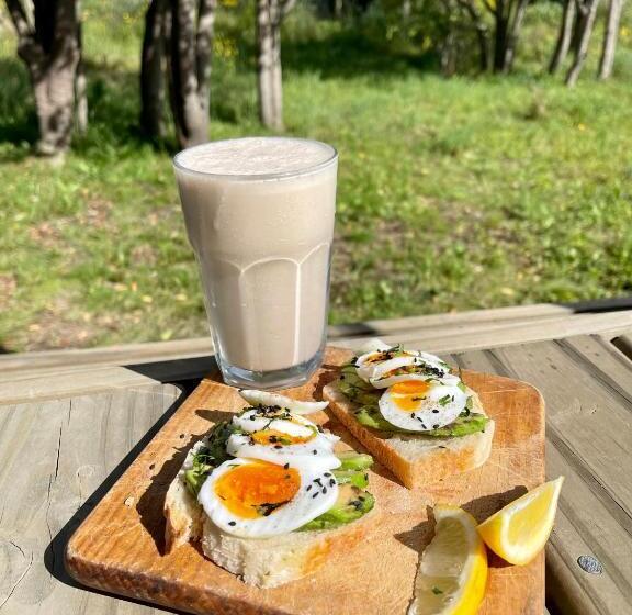 住宿加早餐  El Boho