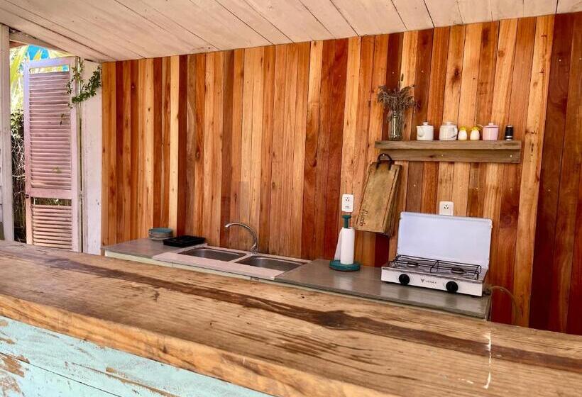 住宿加早餐  El Boho