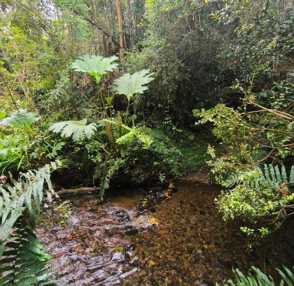 تختخواب و صبحانه Nómada Austral Pieza 2