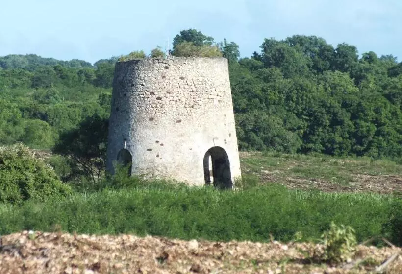 تختخواب و صبحانه Villa Créoléna