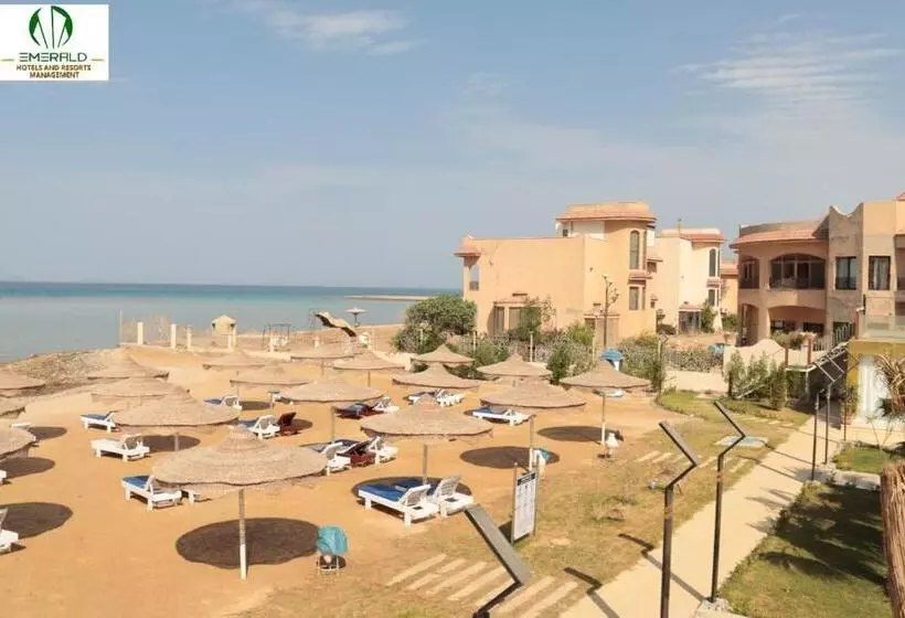 Casablanca Star Hurghada كازابلانكا ستار الغردقة