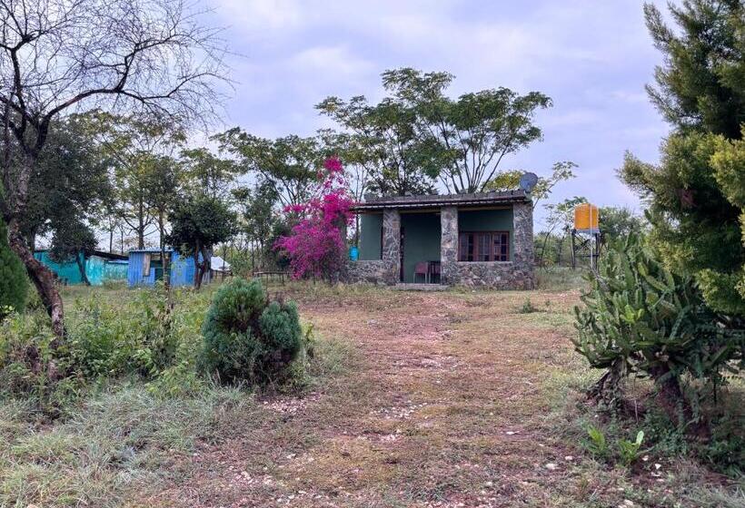 Hotell Ivory Daze Jungle Adventure Homestay