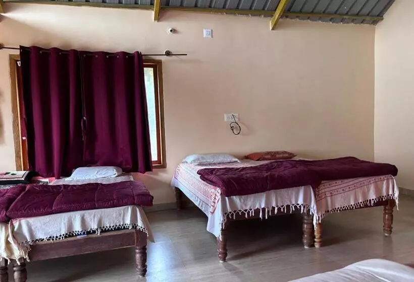 Hotelli Ivory Daze Jungle Adventure Homestay