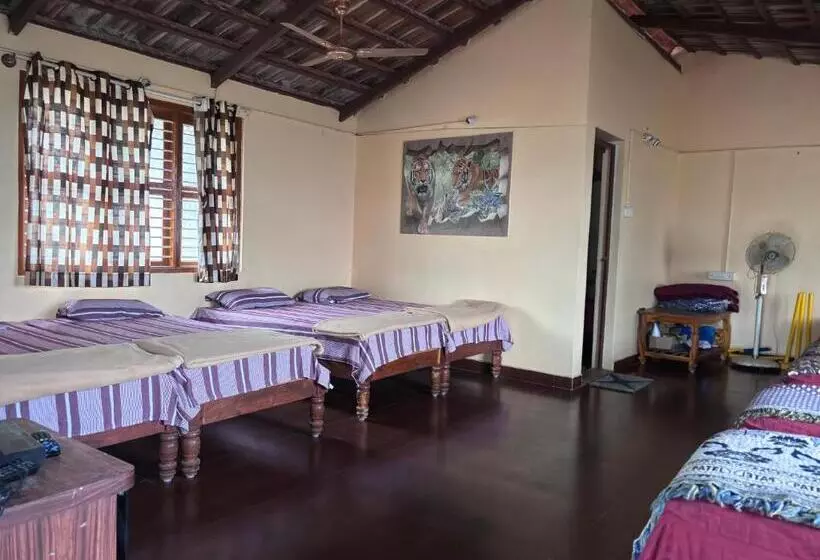 Hotelli Ivory Daze Jungle Adventure Homestay