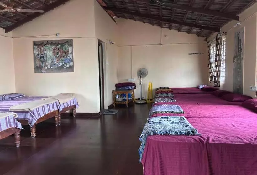Hotelli Ivory Daze Jungle Adventure Homestay