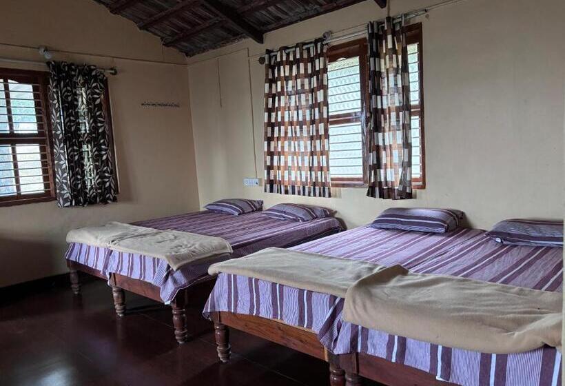 Hotell Ivory Daze Jungle Adventure Homestay